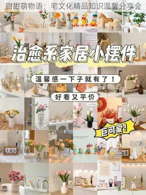 甜甜萌物语：宅文化精品知识温馨分享会