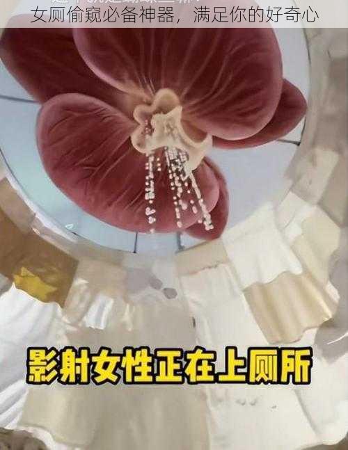 女厕偷窥必备神器，满足你的好奇心