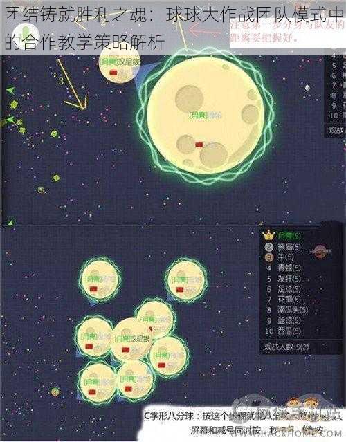 团结铸就胜利之魂：球球大作战团队模式中的合作教学策略解析