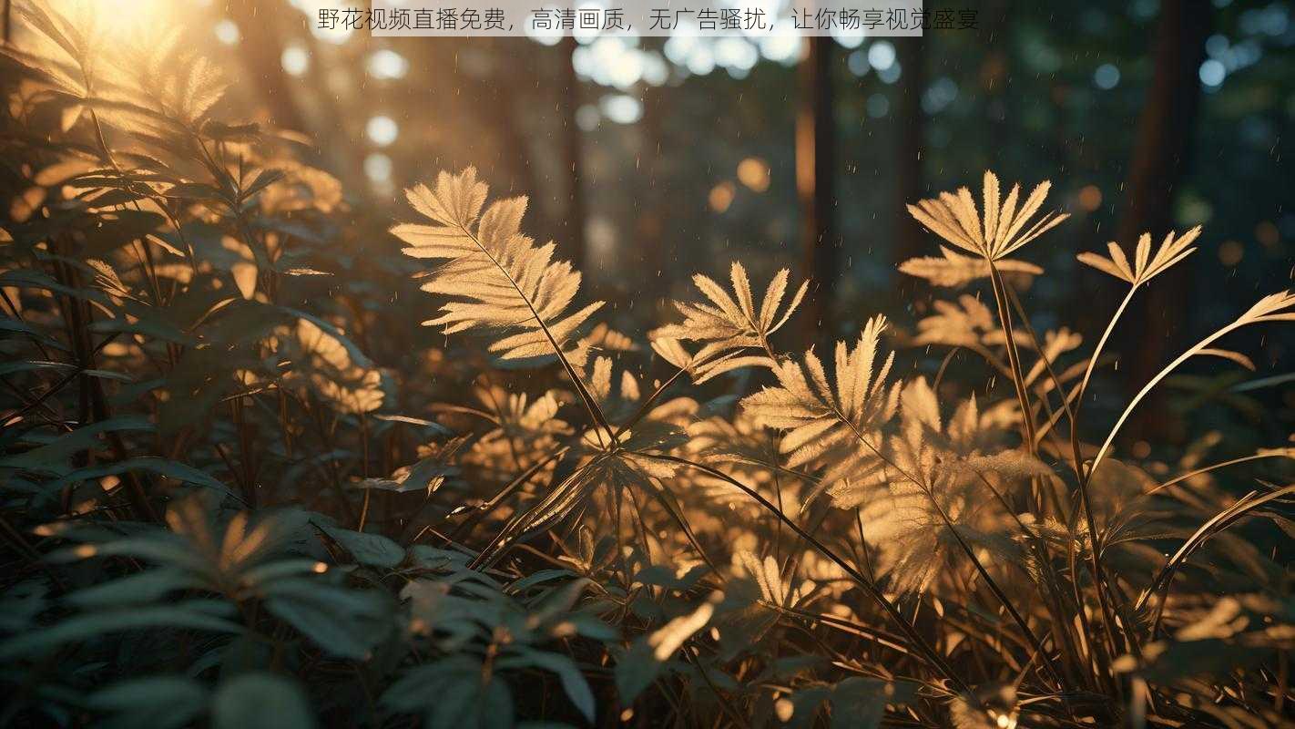 野花视频直播免费，高清画质，无广告骚扰，让你畅享视觉盛宴