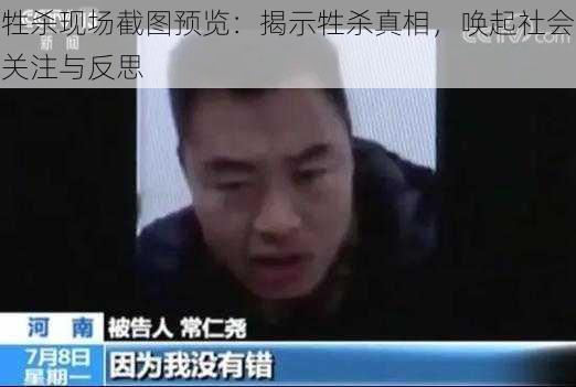 牲杀现场截图预览：揭示牲杀真相，唤起社会关注与反思