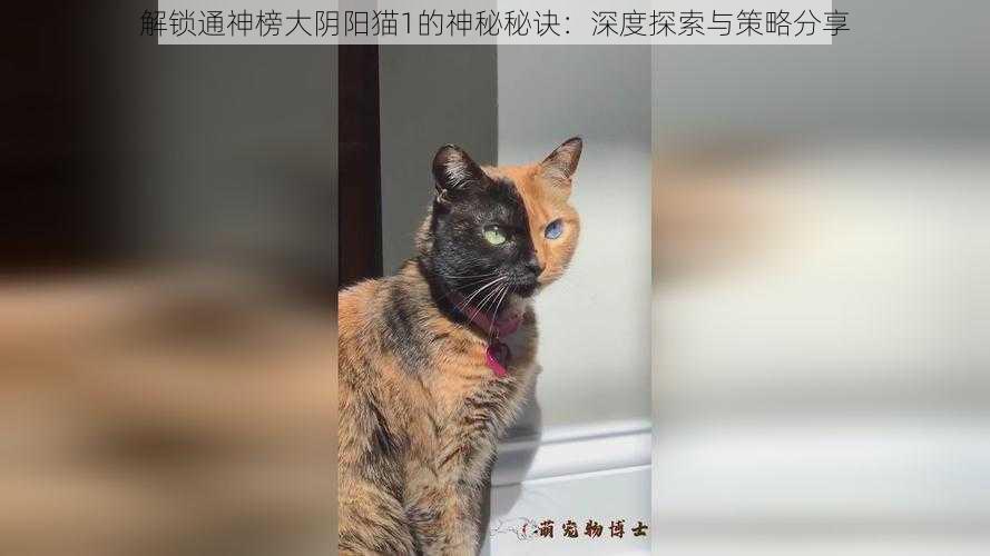 解锁通神榜大阴阳猫1的神秘秘诀：深度探索与策略分享