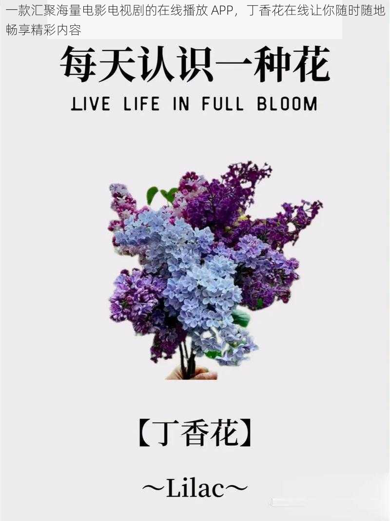 一款汇聚海量电影电视剧的在线播放 APP，丁香花在线让你随时随地畅享精彩内容