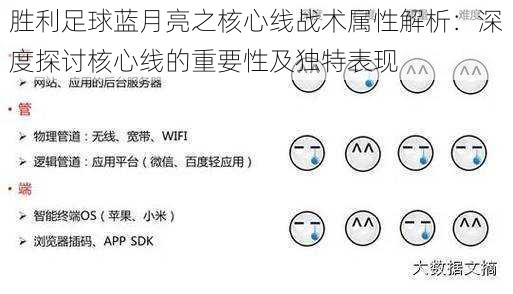 胜利足球蓝月亮之核心线战术属性解析：深度探讨核心线的重要性及独特表现