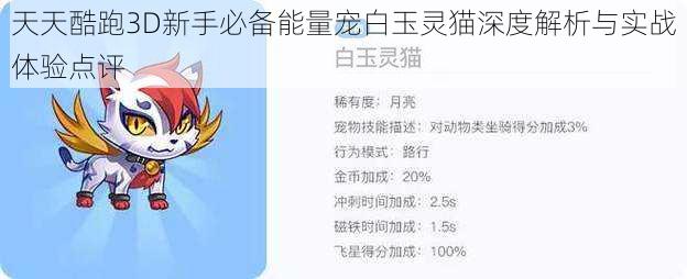 天天酷跑3D新手必备能量宠白玉灵猫深度解析与实战体验点评