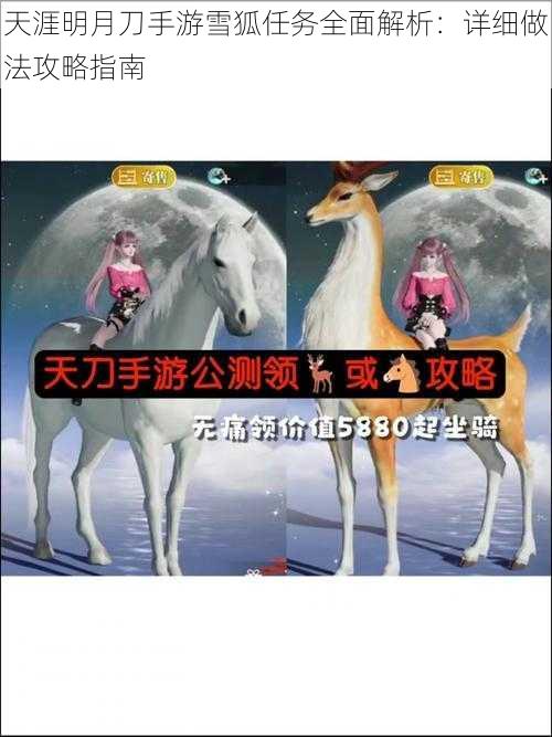 天涯明月刀手游雪狐任务全面解析：详细做法攻略指南