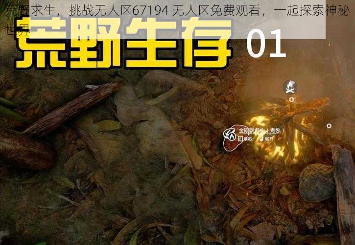 荒野求生，挑战无人区67194 无人区免费观看，一起探索神秘世界