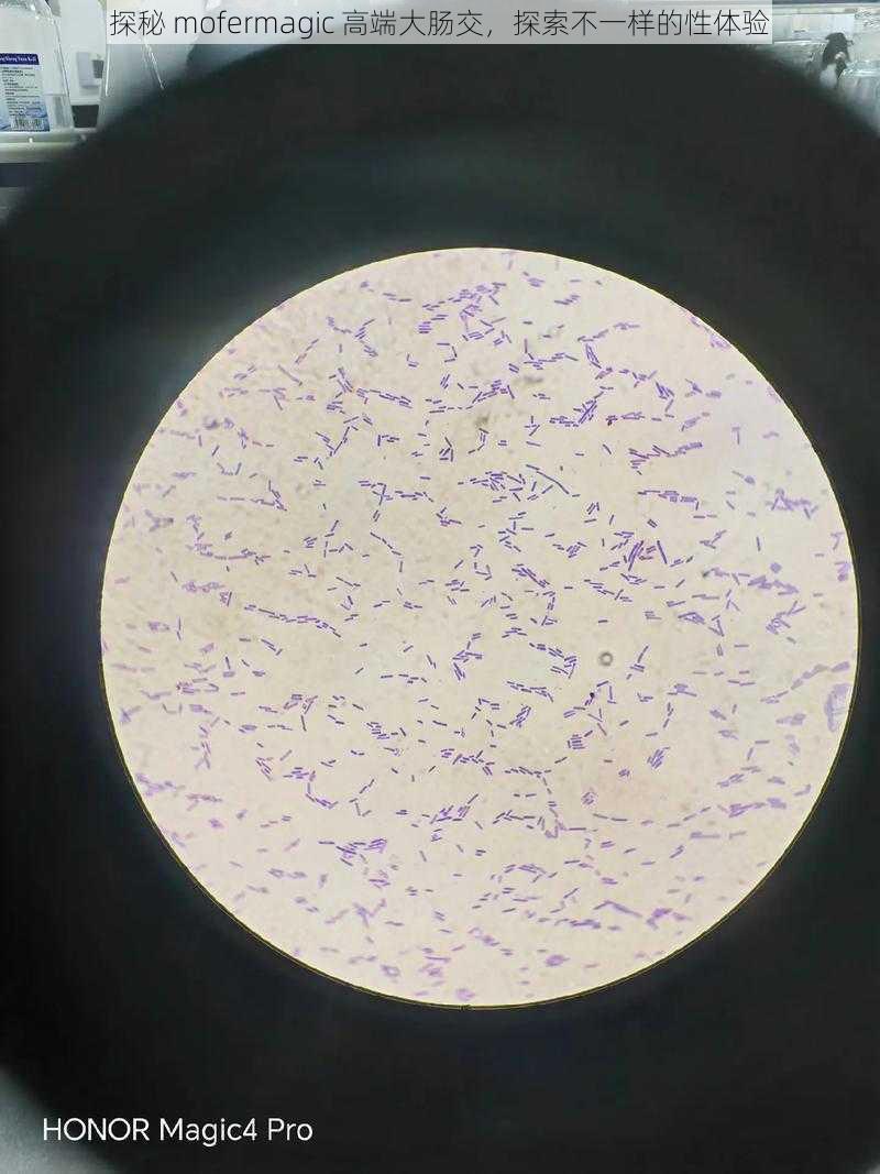 探秘 mofermagic 高端大肠交，探索不一样的性体验