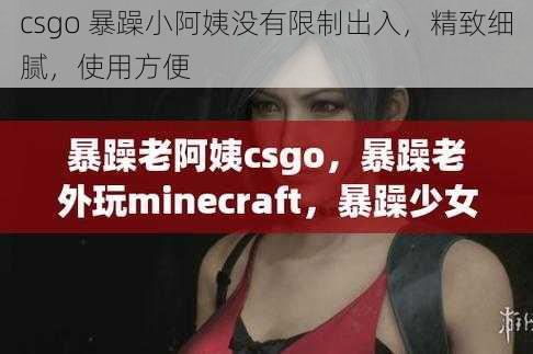 csgo 暴躁小阿姨没有限制出入，精致细腻，使用方便