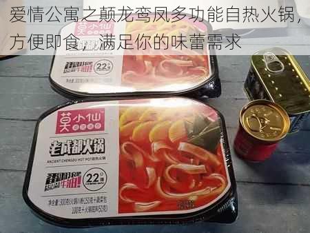 爱情公寓之颠龙鸾凤多功能自热火锅，方便即食，满足你的味蕾需求