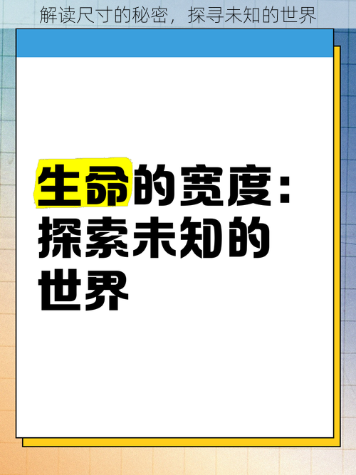 解读尺寸的秘密，探寻未知的世界