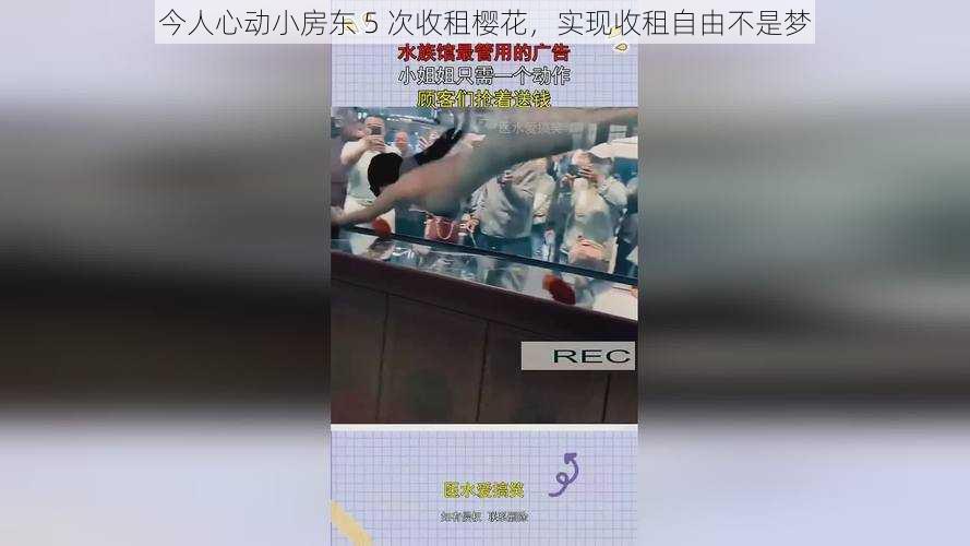 今人心动小房东 5 次收租樱花，实现收租自由不是梦