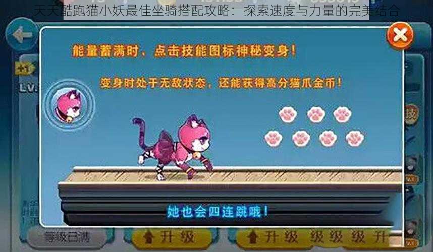 天天酷跑猫小妖最佳坐骑搭配攻略：探索速度与力量的完美结合