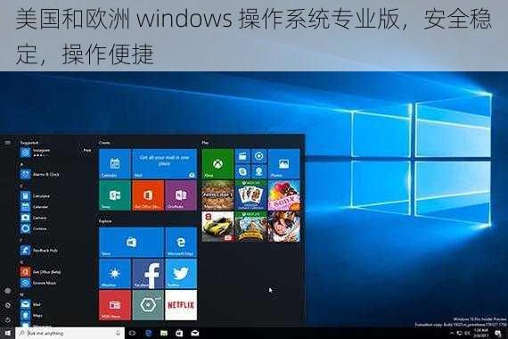 美国和欧洲 windows 操作系统专业版，安全稳定，操作便捷