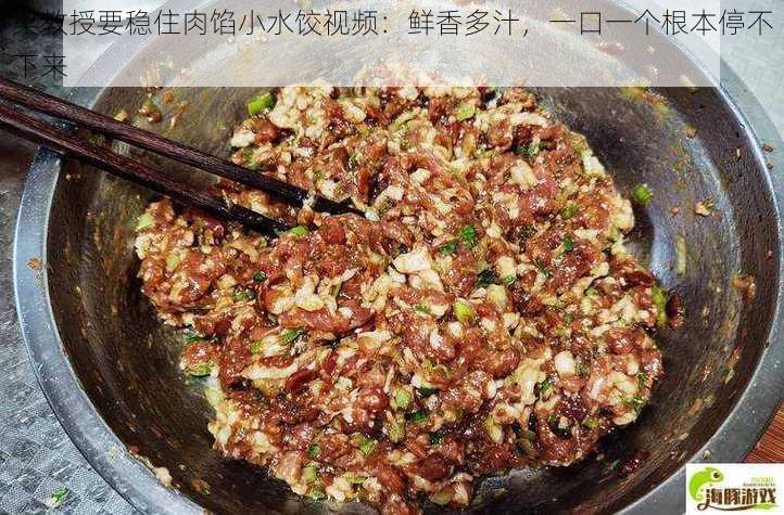 梁教授要稳住肉馅小水饺视频：鲜香多汁，一口一个根本停不下来