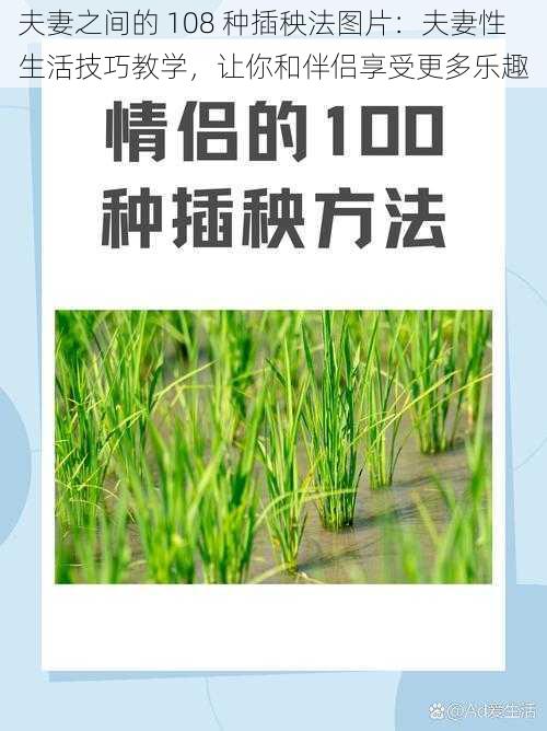 夫妻之间的 108 种插秧法图片：夫妻性生活技巧教学，让你和伴侣享受更多乐趣