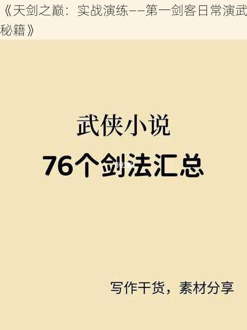 《天剑之巅：实战演练——第一剑客日常演武秘籍》