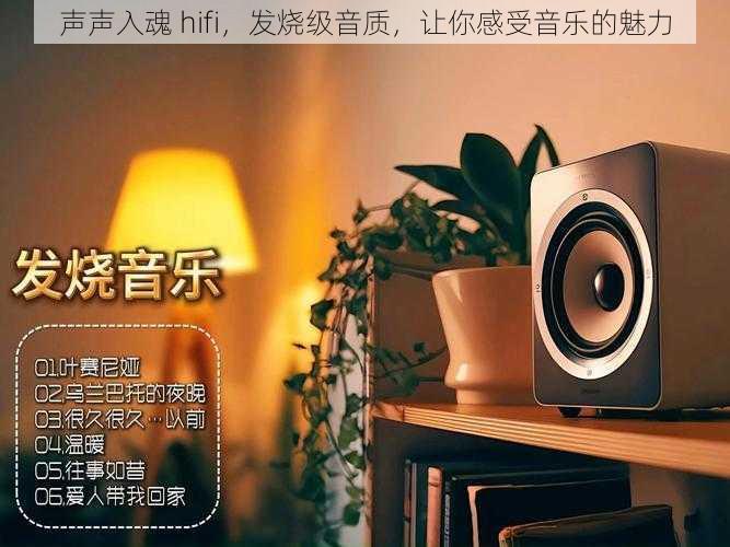 声声入魂 hifi，发烧级音质，让你感受音乐的魅力