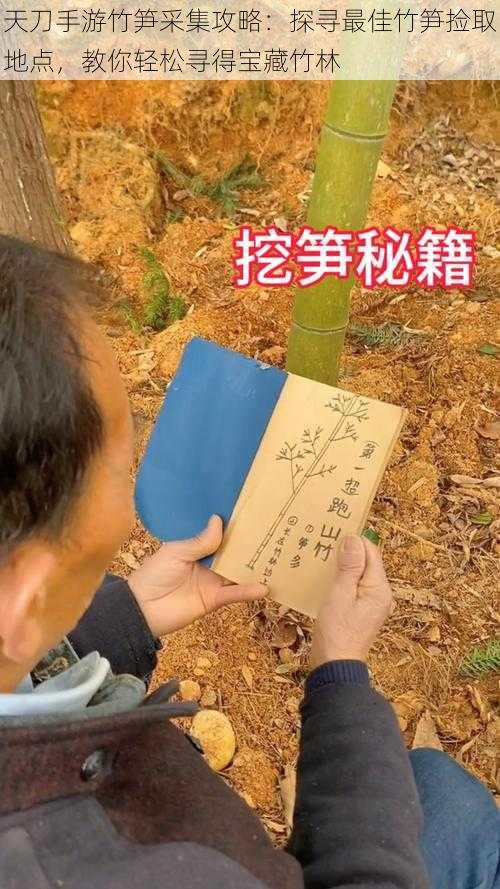 天刀手游竹笋采集攻略：探寻最佳竹笋捡取地点，教你轻松寻得宝藏竹林