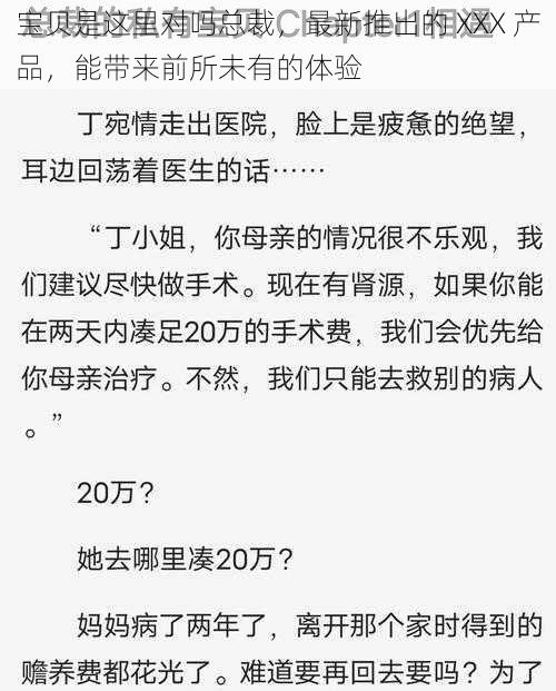 宝贝是这里对吗总裁，最新推出的 XXX 产品，能带来前所未有的体验