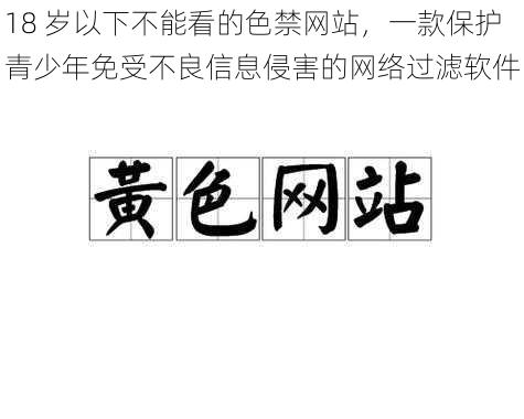 18 岁以下不能看的色禁网站，一款保护青少年免受不良信息侵害的网络过滤软件