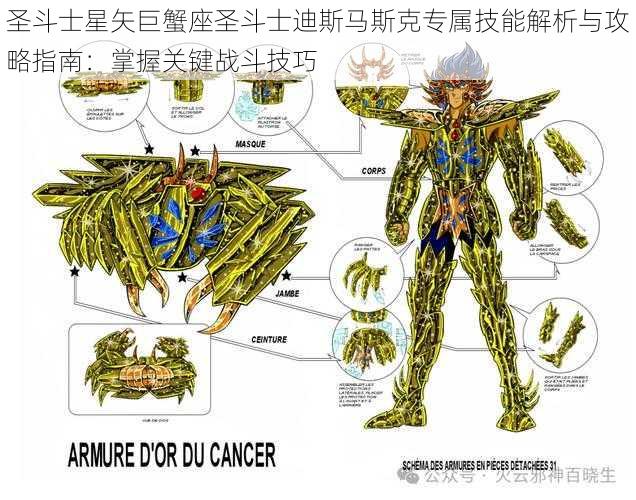 圣斗士星矢巨蟹座圣斗士迪斯马斯克专属技能解析与攻略指南：掌握关键战斗技巧