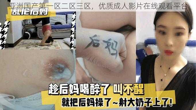 亚洲国产第一区二区三区，优质成人影片在线观看平台