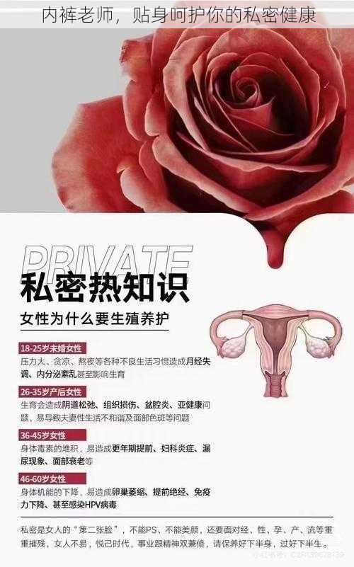 内裤老师，贴身呵护你的私密健康