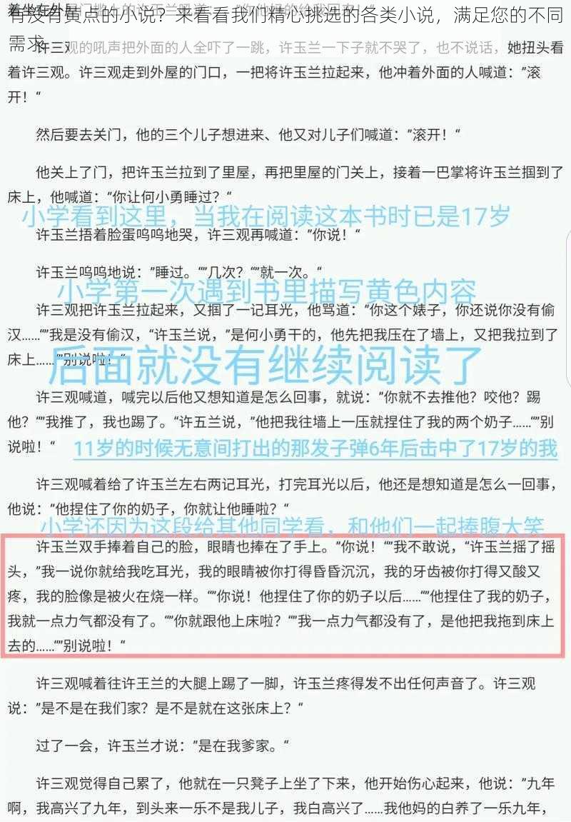 有没有黄点的小说？来看看我们精心挑选的各类小说，满足您的不同需求