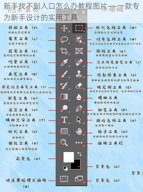 新手找不到入口怎么办教程图片——一款专为新手设计的实用工具