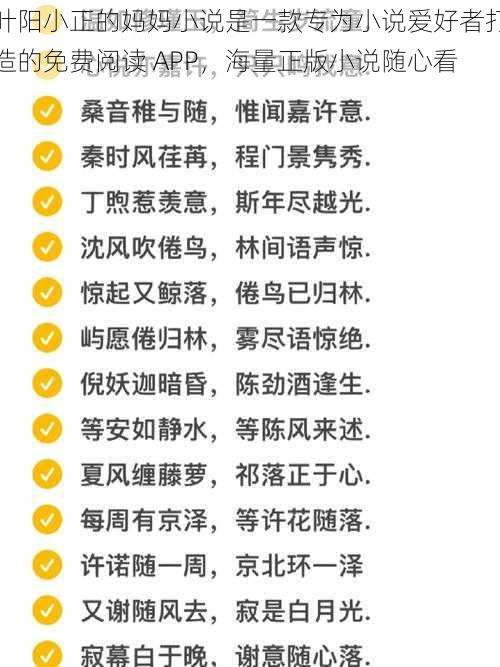 叶阳小正的妈妈小说是一款专为小说爱好者打造的免费阅读 APP，海量正版小说随心看