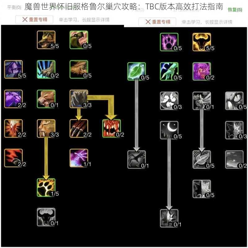 魔兽世界怀旧服格鲁尔巢穴攻略：TBC版本高效打法指南