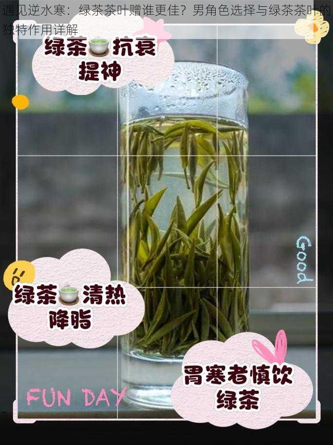 遇见逆水寒：绿茶茶叶赠谁更佳？男角色选择与绿茶茶叶的独特作用详解