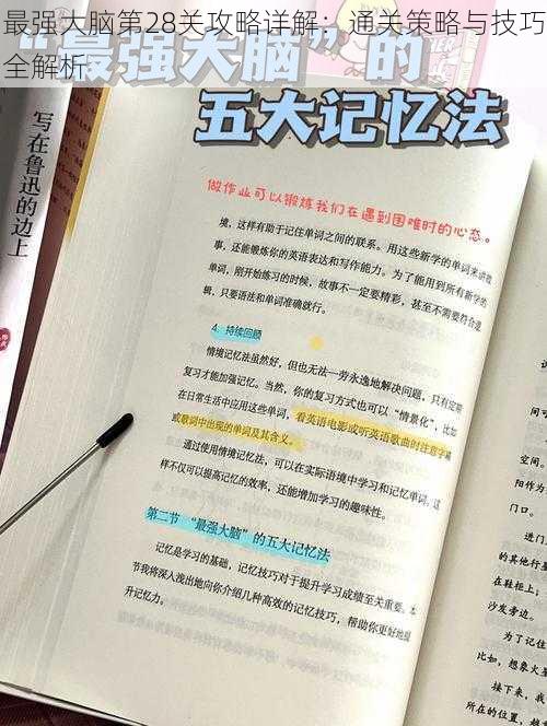 最强大脑第28关攻略详解：通关策略与技巧全解析