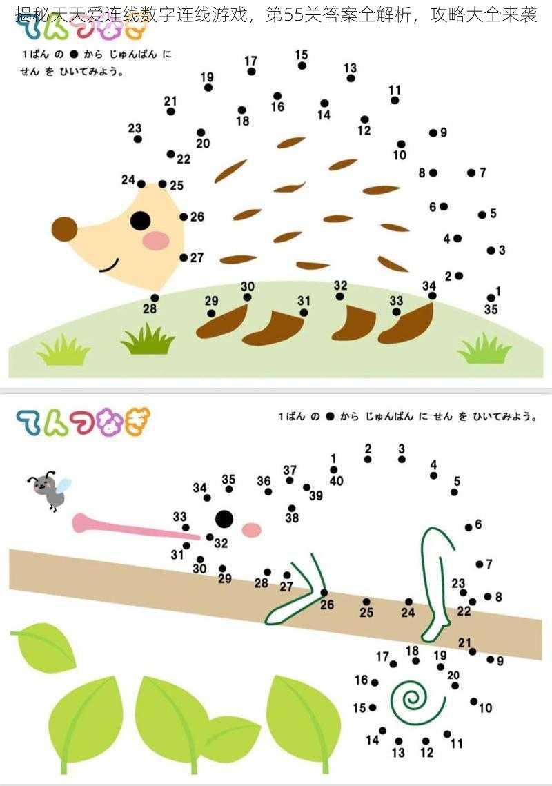 揭秘天天爱连线数字连线游戏，第55关答案全解析，攻略大全来袭