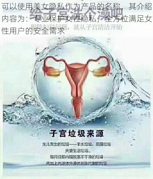 可以使用美女隐私作为产品的名称，其介绍内容为：专业保护女性隐私，全方位满足女性用户的安全需求