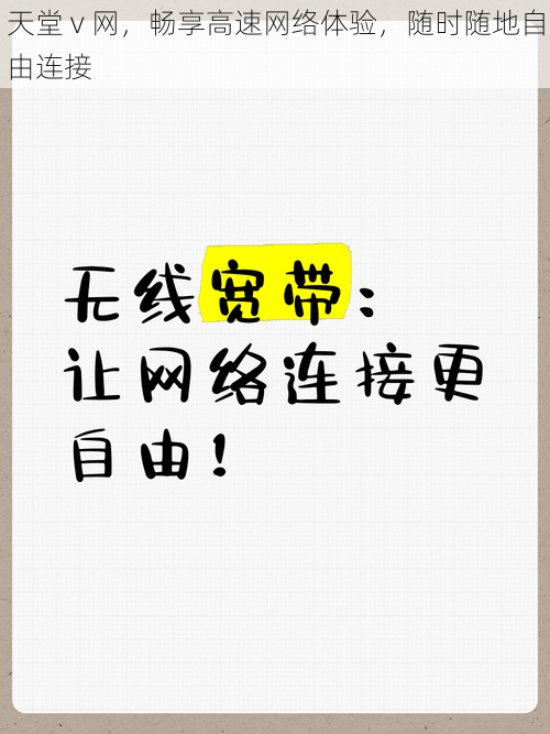 天堂 v 网，畅享高速网络体验，随时随地自由连接