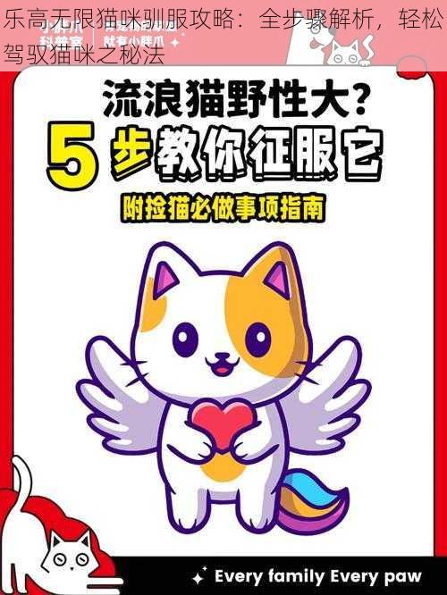 乐高无限猫咪驯服攻略：全步骤解析，轻松驾驭猫咪之秘法