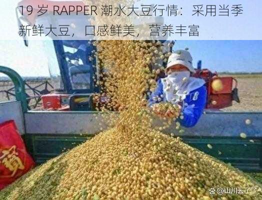 19 岁 RAPPER 潮水大豆行情：采用当季新鲜大豆，口感鲜美，营养丰富