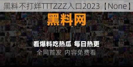 黑料不打烊TTTZZZ入口2023【None】