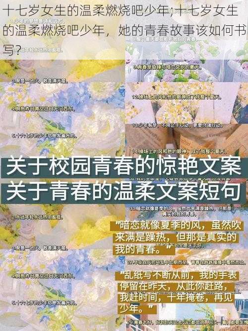 十七岁女生的温柔燃烧吧少年;十七岁女生的温柔燃烧吧少年，她的青春故事该如何书写？