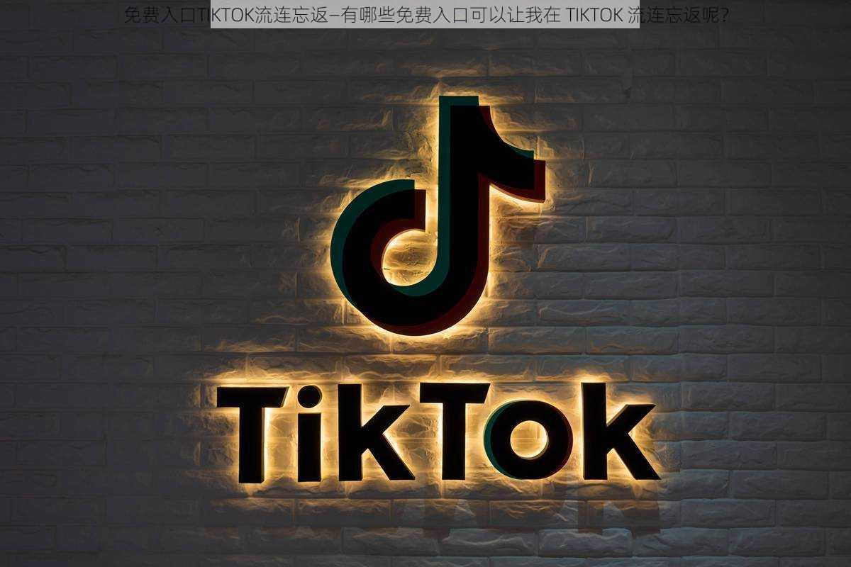 免费入口TIKTOK流连忘返—有哪些免费入口可以让我在 TIKTOK 流连忘返呢？