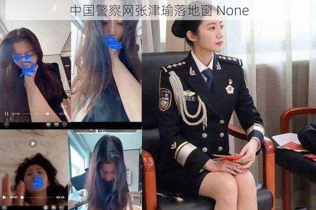 中国警察网张津瑜落地窗 None