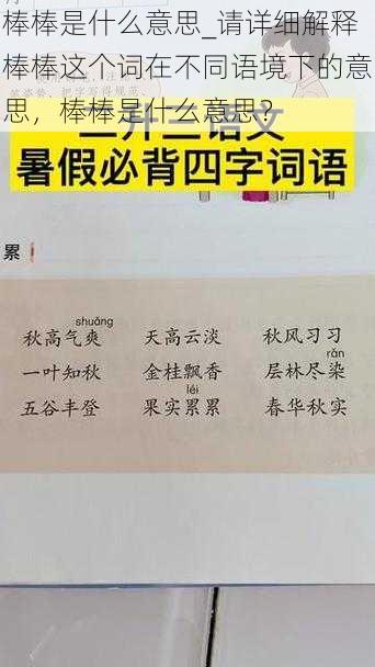 棒棒是什么意思_请详细解释棒棒这个词在不同语境下的意思，棒棒是什么意思？