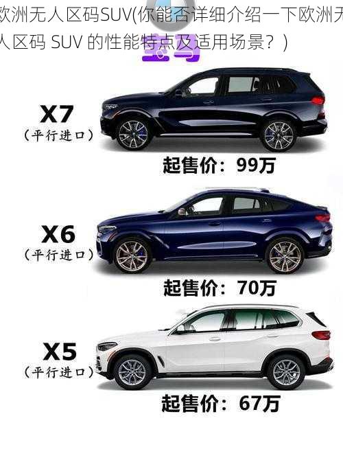 欧洲无人区码SUV(你能否详细介绍一下欧洲无人区码 SUV 的性能特点及适用场景？)