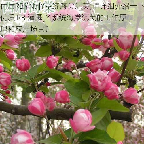 优质RB灌溉JY系统海棠沉芙;请详细介绍一下优质 RB 灌溉 JY 系统海棠沉芙的工作原理和应用场景？