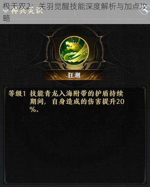 极无双2：关羽觉醒技能深度解析与加点攻略