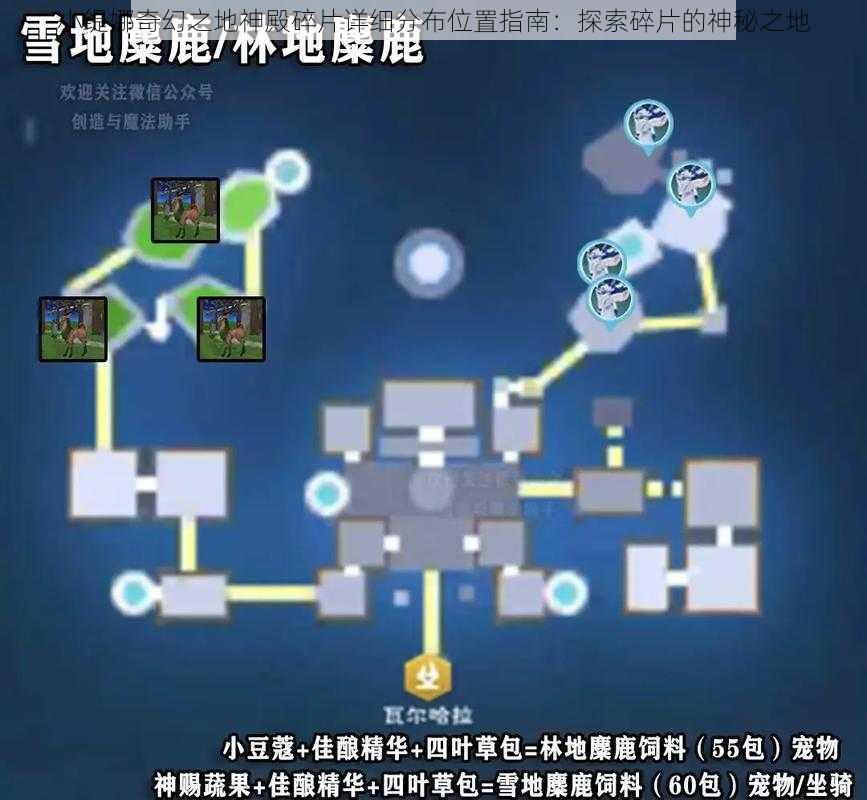 小缇娜奇幻之地神殿碎片详细分布位置指南：探索碎片的神秘之地