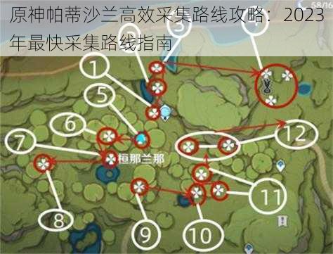 原神帕蒂沙兰高效采集路线攻略：2023年最快采集路线指南