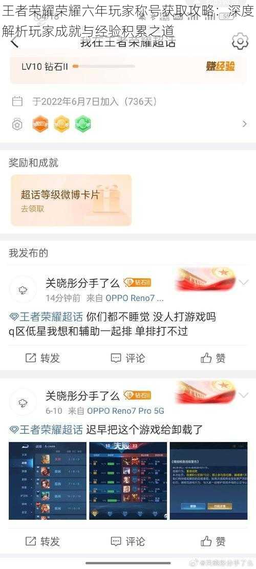 王者荣耀荣耀六年玩家称号获取攻略：深度解析玩家成就与经验积累之道